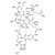 Cyanocobalamin