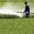 Chemical Pesticides