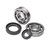 Motorcycle Bearings