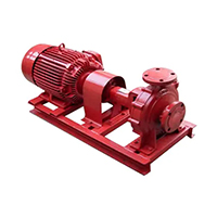 Jockey âpumps