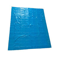 Plain plastic sheet