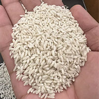 Fortified rice kernels