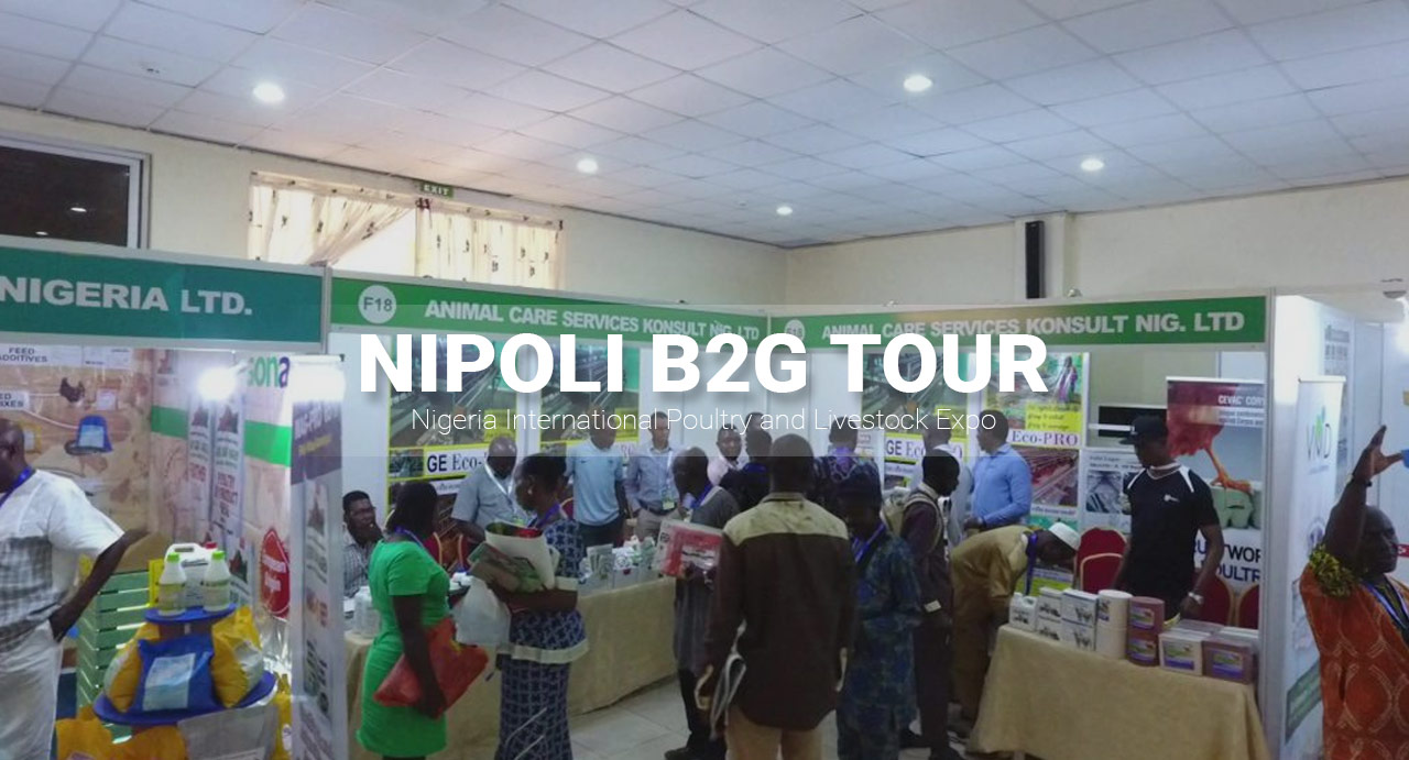  NIPOLI EXPO 2019