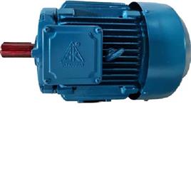 10 Hp Three Phase Induction Motor In Delhi Satkartar Electro Mech, Mounting Type: Foot