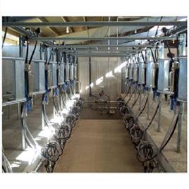 12 Point Herringbone Milking Parlour