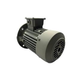 1Hp Three Phase Flange Type In Delhi Satkartar Electro Mech