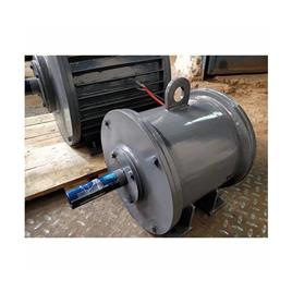 2 Kw 500Rpm Permanent Magnet Generator - Color: Blue