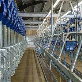 20 Point Herringbone Milking Parlour