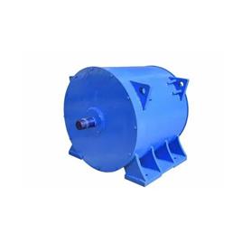 20Kw Permanent Magnet Alternator - Color: Green