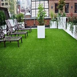 25mm Artificial Grass