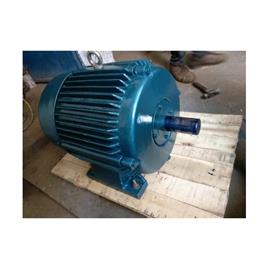 2kw 300 Rpm Magnet Alternator