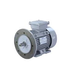 3 Foot Cum Flange Mounted Electric Motor, Mounting Type: B35 foot & flange