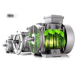 3 Phase Foot Energy Efficient Induction Motors