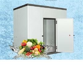 3 Ton Vegetable Cold Storage