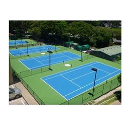 450 W Tennis Court Led Light In Murshidabad Bshan Industries Private Limited Opc, IP Rating: IP 66