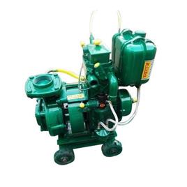 5 Hp Mono Block Diesel Pump Set