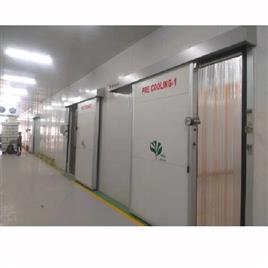 5 Mt Cold Storages