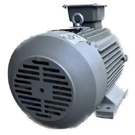 5hp Three Phase Electric Motor In Delhi Satkartar Electro Mech