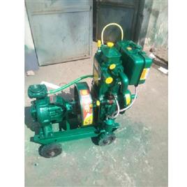 65 Hp Diesel Pumping Set