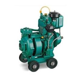 8 Hp Monoblock Diesel Engine Pump Set, Engine Horsepower: 8 HP