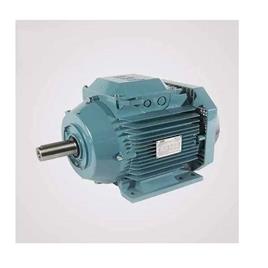 Abb Electric Motor In Pali Kisan Brothers, phase: Single Phase