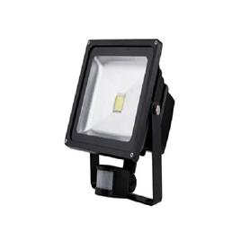 Ac 30 W Led Flood Light In Nagpur Shree Ashoka Solar And Energy Pvt Ltd, Usage/Application: Outdoor