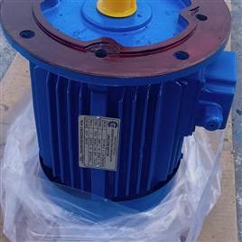 Ac Brake Motor Induction Motor