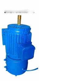 Ac Motor Electric Brake 2
