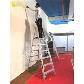 Aluminium Platform Ladder