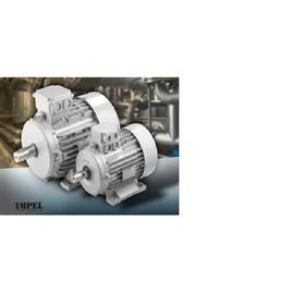 Aluminum Induction Motor, Country of Origin: Made in India