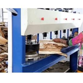 Areca Leaf Plate Making Machine 11, Usage/Application: Industrial