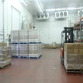 Automatic Cold Storage Room