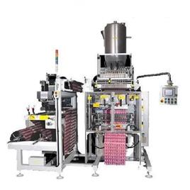 Automatic Ginger Garlic Pouch Packaging Machine, Surface: Mirror polish