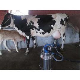 Automatic Milking Machine, Warranty: 1 Year