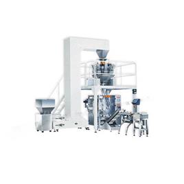 Automatic Pouch Packing Plant