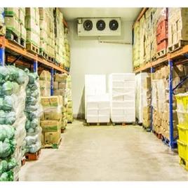 Automatic Vegetable Cold Storage Room