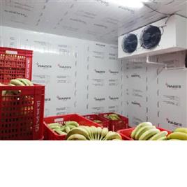 Banana Ripening Chamber 28, Size(LXWXH): Banana Ripening Chamber