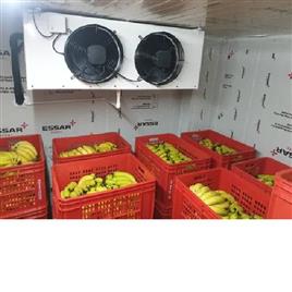 Banana Ripening Chambers 5, Size(LXWXH): Banana Ripening Chamber