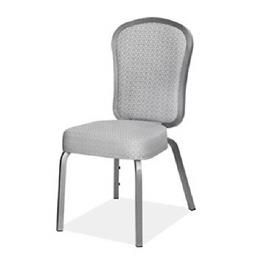 Banquet Chair In Ms Powder Coated Frame