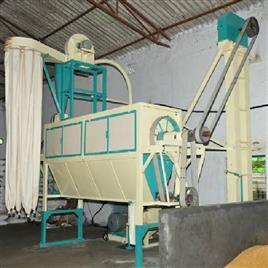 Besan Plant 7
