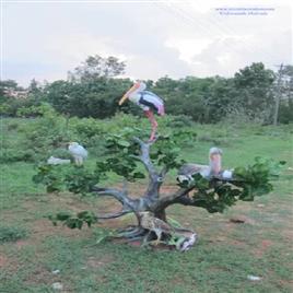 Birds Sculptures In Bengaluru Urban Nirmith Creations, Size/Dimension: 60