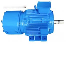Brake Ac Motor Number Of Poles: 4