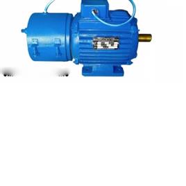 electric brake motor