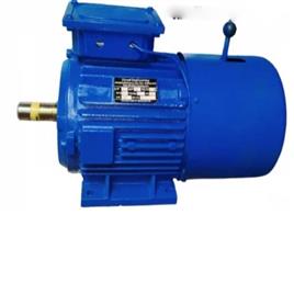 Brake Motor Assembly