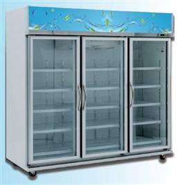 two door chiller