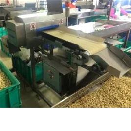 Cashew Nut Metal Detector Machine