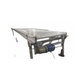 Chain Driven Roller Conveyors 5