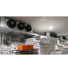 Chicken Cold Room By Apps Vision Technology Pvt Ltd