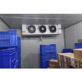 Chicken Cold Storage Room In Delhi Forestro Refrigeration