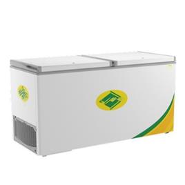 Commercial Deep Freezer 2